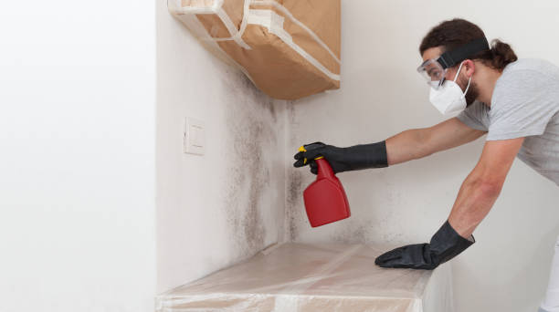 Professional Bathroom Mold Removal technician working in Calvin, PA