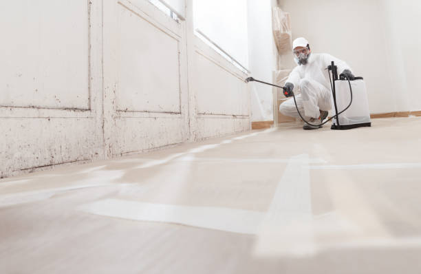24/7 Emergency Bathroom Mold Removal experts in Calvin, PA
