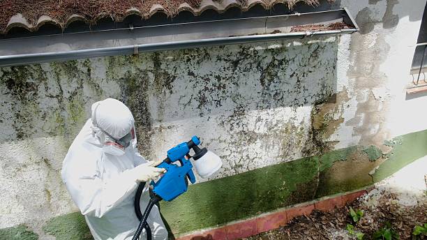 Top rated local Bathroom Mold Removal specialists in Calvin, PA